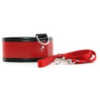 Sex & Mischief Red Leash and Collar 