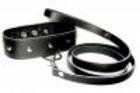 Sportsheets Leather Leash and Collar