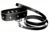 Sportsheets Leather Leash and Collar