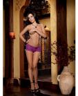 Stretch lace cheeky boyshort w/satin ribbon lace up back detail and satin bow orchid x large