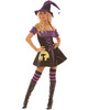 4 pc moonlight witch dress, arm bands, thigh hi's and hat black sm