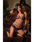 Metallic mesh opulent bra and boyshort royal sapphire o/s