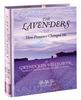 Icon brands book smart kit, the lavenders - purple