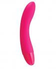Pico bong by lelo, zizo innie vibe - cerise