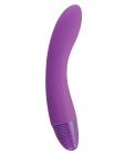 Pico bong by lelo, zizo innie vibe - purple