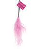 Fetish fantasy series feather teaser - pink