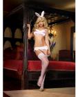 5 pc hippity hop bra top, garter belt, bunny tail, thong and bunny ears white  o/s