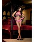 5 pc ride em cowgirl bra, holster belt, scarf cuffs and thong pink  o/s