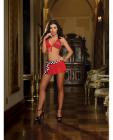 4 pc bj's lube girl bra, mini skirt w/checker waistband, g-string and rag red o/s