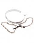 Rapture Stainless Steel Collar w/Nipple Clamps
