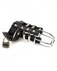 Rapture Leather Cock and Ball Bondage