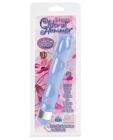 10 Function Clitoral Hummer - Blue