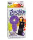 Gyration sensations gyrating rockin' enhancer 1 - purple