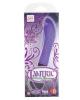 Tantric 10 function nirvana - purple