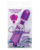 Couture transcend flexible massager - purple