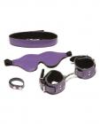 Xplay purple pleasure four piece set w/mask, collar, writs cuffs, and ring - purple