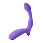 Love Handle G Spot Massager Purple Sex Toy Product