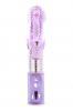 Closet Collection Jimmee Purple