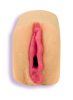 Ashton Moore Pocket Pussy