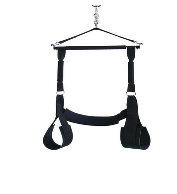 Adult Sex Swing image