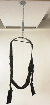Sexswing image