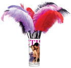 Fetish Fantasy Series Love Plumes 12 per Display