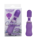 Couture Collection Transcend Purple