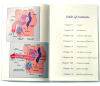 Pumper's Handbook