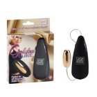 Golden Bullet Sex Toy Product