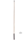 Bamboo Cane
