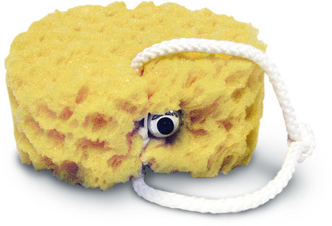 Vibrating Foam Sea Sponge