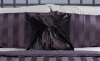 D�cor Stashe in Black Velvish 