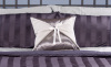 D�cor Stashe in Grey Velvish 