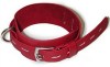 Red Deluxe Buckling Collar, Small