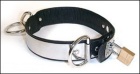 Locking Stainless Steel/Leather Locking Collar, Small