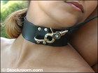 Locking Leather Collar w/ D-Ring, Medium