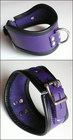 Short Locking Curved Posture Collar - Purple w/ Black Trim, Medium