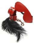 KinkLab Experimental Kit