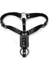 KinkLab Anal Plug Harness with Cock Ring