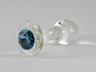 Crystal Delights Blue Glass Anal Plug