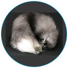 Crystal Minx Tail Silver Fox Plug