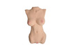 CyberSkin Virtual Sex Ultra Perfect Woman Realistic Erotic Plaything, Asian