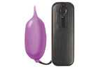 Penthouse Secrets Cyber Flicker, Shy Purple