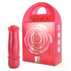 Blooming Red Rose 6x Lipstick Vibe