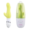 Blossom 6x Vibe Tulip