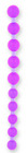 Purple Jelly Anal Beads