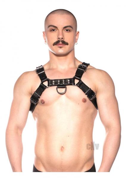 Prowler Red Bull Harness Black Sm Sex Toy Product