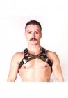 Prowler Red Cross Harness Blk/grn S/m Sex Toy Product