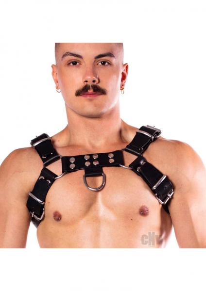 Prowler Red Butch Harness Prem Blk Md Sex Toy Product