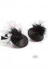Burlesque Pasties Feather Sex Toy Product